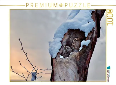 Produktbild von CALVENDO Puzzle Winter im Kauzwald | 1000 Teile Lege-Größe 64x48cm Foto-Puzzle für glückliche Stunden