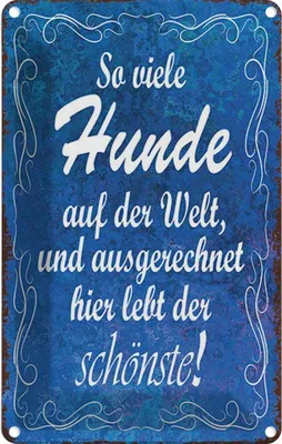 Produktbild von vianmo Blechschild 18x12 cm so vielen Hunde auf der Welt Tier Haustier Hund