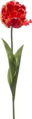 Produktbild von artplants.de Kunst Papageientulpe LIOMARA, orange, 65cm - Künstliche Tulpe