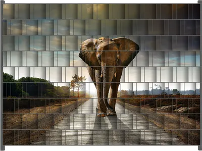Produktbild von Wallario Zaunsichtschutz mit Motiv Elefant bei Sonnenaufgang in Afrika für Ein- und Doppelstabmatten Zäune in der Größe 250 x 180 cm