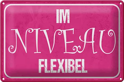 Produktbild von Blechschild Spruch 30x20cm Im NIVEAU flexibel
