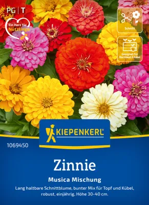Artikelbild 2 von 'Zinnie Musica Mischung' aus der Kategorie Zinniensamen