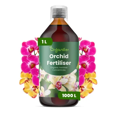 Zdjęcie produktu dla Orchidea Nawóz Płynny 1 L – 3-4-3 NPK – Do Orchidey – Podporuje Bujne Kwiaty, Zdrowy Wzrost i Silne Korzenie – Organifer