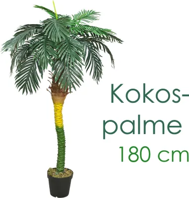 Produktbild von künstliche Pflanze, als Deko Wohnzimmer, Kunstpflanzen groß, Plastik wie echt, Decovego, Auswahl Palme Pflanze:Palme Modell 26 (Kokospalme 180 cm)