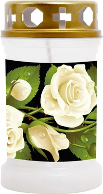 Produktbild von Grabkerze Weiß, Brenndauer: 40 Stunden, Motiv: Rose