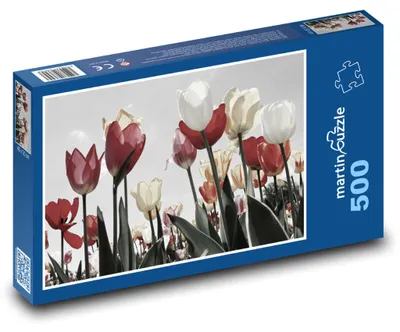 Obrázok produktu pre Puzzle 500 Rozkvitnutá lúka tulipánov - martinpuzzle
