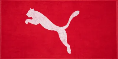 Produktbild von Einheitsgröße|PUMA Towel Small 50 x 100 cm Handtuch 054553-02