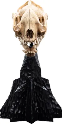 Produktbild von Herr der Ringe Mini Statue Skull of a Warg 20 cm
