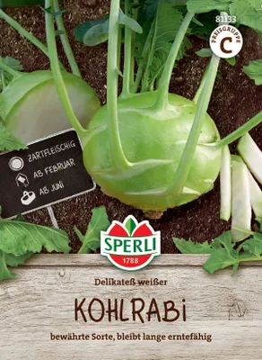 Produktbild von SPERLI Kohlrabisamen Delikateß weißer Brassica oleracea 60 Pflanzen