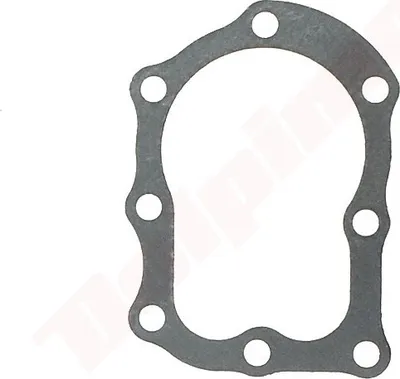 Immagine prodotto di Guarnizione della testa per Briggs & Stratton ( 270341 , 272170 , 272536 )
