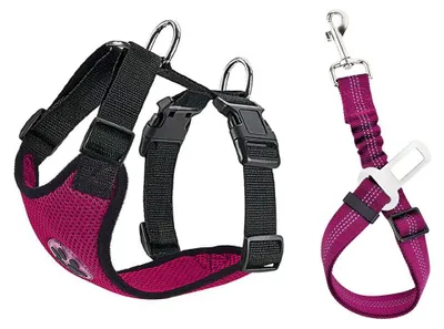 Hundegeschirr mit Sicherheitsgurt, Latex-Mesh, für Auto und Alltag