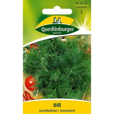 Produktbild von Quedlinburger Saatgut - Dill Gewöhnlicher - Samen - 492852