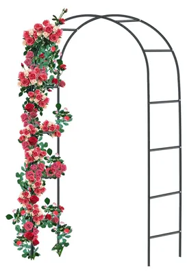 Image de Support en acier pour plantes grimpantes, dimensions : 240 x 140 x 38 cm