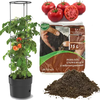 Produktbild von Tomatenpflanze aus Kunststoff Pflanzkübel 18 L + Universalerde 15 L 4-in-1-Substrat mit Mikroorganismen für Gemüse, Tomatenzüchter, Tomatentopf, Übertopf, Gemüsen, Tomaten Waschende