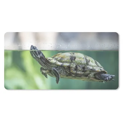 Produktbild von MuchoWow® Schreibtischunterlage Nahaufnahme einer Schildkröte 80x40 cm - XXL Mauspad - Gaming Mauspad