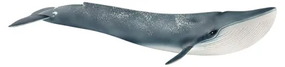 Produktbild von schleich WILD LIFE Blauwal, 3 Jahr(e), Ice & Ocean, Wild animals / adventure toys, Mehrfarbig, Kunststoff, 1 Stück(e)
