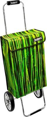 Obrázek produktu pro Nákupní vozík James - BAMBUS - robustní nákupní vozík s individuálním designem - jednobarevný: zelený v provedení: Chrome19