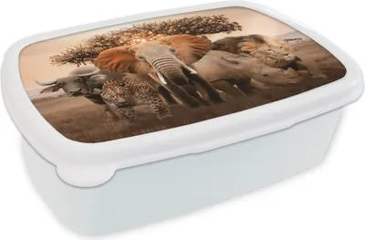 Produktbild von KitchenYeah® Lunchbox Brotzeit Brotdose 17x11 cm Tiere - Elefant - Löwe Kinder Brotzeitdose - Lunch Box - Kinder - Sandwich-Box - Schulbox - Lunch Boxen