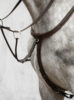 Immagine prodotto di Ps Of Sweden Tokyo Breastplate Brown Cob Brown Cob
