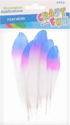 Produktbild von Piórka tęczowe 17-22cm 6szt