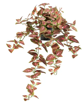 Produktbild von aplanta Künstliche Buntnessel – Romilda | 80 cm, für drinnen, Kunstpflanze, wie echt, Allergiker geeignet, pflanzliche Dekoration Praxis, Office & Wohnzimmer