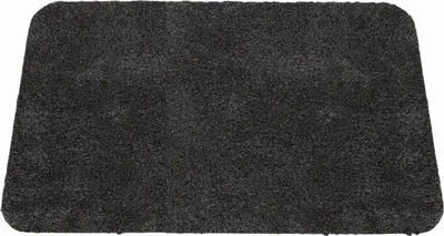 Image de SIENA HOME Paillasson Waterstop 50 x 80 cm anthracite