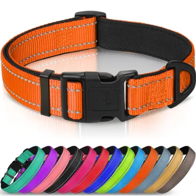 Productafbeelding van Hondhalsband voor kleine honden, reflecterend, oranje