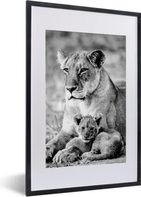 Produktbild von MuchoWow® MuchoWow® Gerahmtes Poster Löwin und Junges - schwarz und weiß 40x60 cm - Poster mit zchwarzem Bilderrahmen - Poster in Rahmen