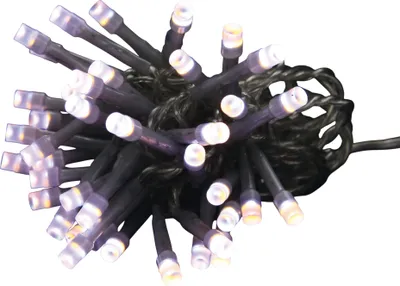 Image de Guirlande électrique bicolore 40 Led
