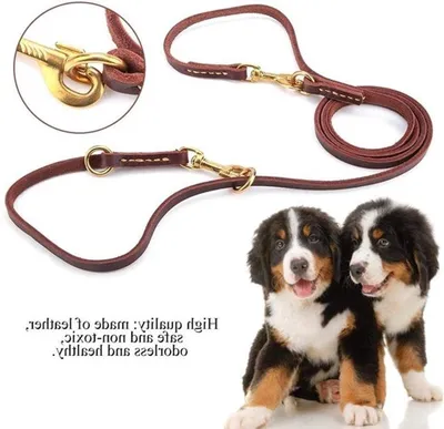 Verstellbare Leder-Hundeleine mit komfortablem Griff, Hauptbild