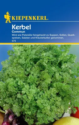 Produktbild von Kerbel Commun | Kerbelsamen von Kiepenkerl [MHD 01/2023]