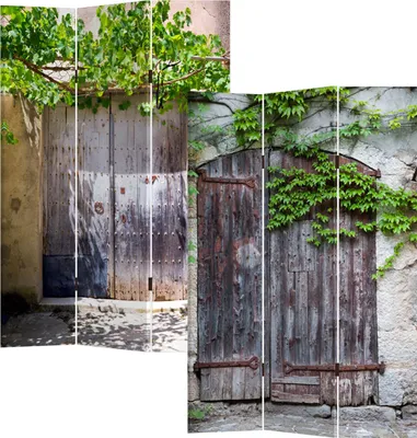 Produktbild von Paravent Cottage 170x120 cm beidseitig bedruckt Motiv zugewachsene Tür