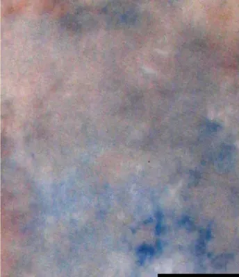 Immagine prodotto di Fondo in tessuto Falcon Eyes S122 2,9x7 m