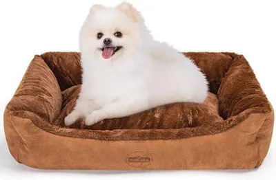 Image de Lit orthopédique pour chien, taille M, lavable, marron foncé, 75 x 50 x 20 cm