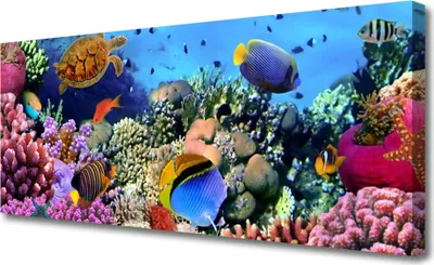 Produktbild von Tulup Leinwand-Bilder 125x50 Wandbild Canvas Kunstdruck Korallenriff Natur