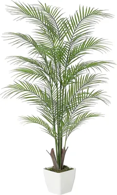 Produktbild von Künstliche Areca-Palme - Topfpflanze für den Boden - PE - Größe L - Für Zuhause, Büro & Outdoor - Milchweißer Topf
