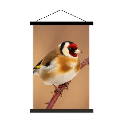 Produktbild von MuchoWow® Textilposter Kropftaube - Vogel - Tiere 120x180 cm mit schwarzem Rahmen - Fotos