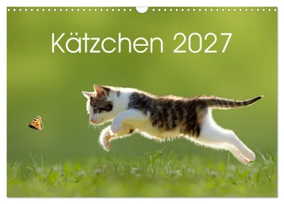 Produktbild von Kätzchen 2027 (Wandkalender 2027 DIN A3 quer), CALVENDO Monatskalender