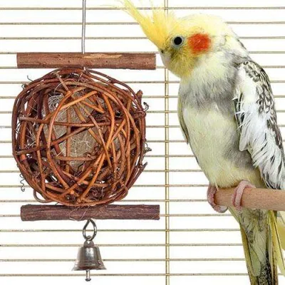 Produktbild von Karlie Wooden Bird Ball - 5 cm