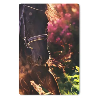 Produktbild von MuchoWow® Mauspad Mousepad Pferd - Sonne - Porträt 18x27 cm - Mousepads - Maus Mat - Pad - Mausunterlage