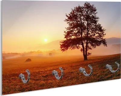 Produktbild von Wallario Handtuchhalter aus Glas, Motiv: Sonnenaufgang über der Wiese mit Nebel, 30 x 20 cm mit 4 Haken