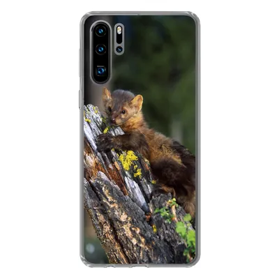 Produktbild von MuchoWow® Handyhülle Schutzhülle Hülle für Huawei P30 Pro Marder - Baum - Wald Silikon Softcase Handy Hülle - Schutzdeckel