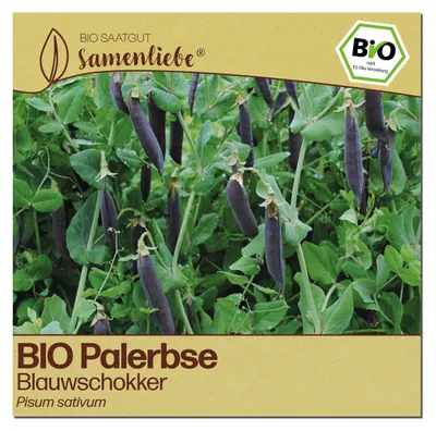 Produktbild von Samenliebe  Erbse Samen | Blauwschokker - blau & aromatisch - samenfestes  Saatgut