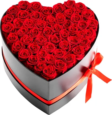 Image de SucceBuy 50 roses préservées dans une boîte en forme de cœur, bouquet de fleurs durable, boîte cadeau pour épouses, mères, partenaires, idéal pour mariage, fête des mères, Saint-Valentin, Noël, rouge