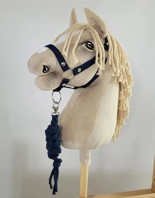 Image de Set pour Hobby Horse A3 licol et corde marine