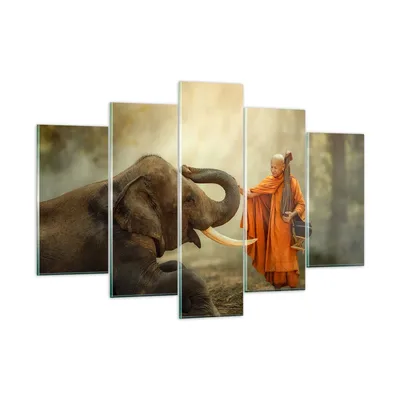 Produktbild von Bilder auf glas - Elefant Mönch Stoßzahn - 150x100cm - Glasbilder - Wandbilder - Kunstdruck - zum Aufhängen bereit - Wanddekoration aus Glas - Glas Bilder - Wandbild auf Glas - GEA150x100-3484