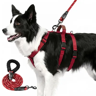 Productafbeelding van Anti-Trek Veiligheidstuigje voor Honden, Ademend en Ontsnappingsbestendig