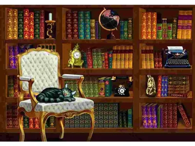 Immagine prodotto di BLUEBIRD Puzzle Vintage 1000 - Libreria DLC