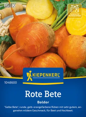 Produktbild von Kiepenkerl Rote Betesamen Boldor Beta vulgaris 6-8 lfd. Meter