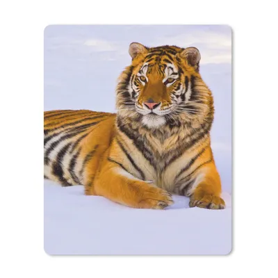 Produktbild von MuchoWow® Mauspad Mousepad Tiger - Schnee - Winter - Tiere 30x40 cm - Mousepads - Maus Mat - Pad - Mausunterlage - Mausmatten
